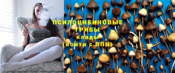 твердый Алексин