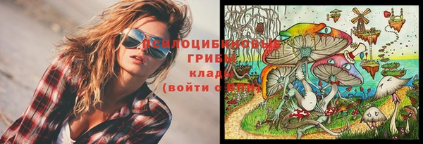 гашик Алзамай